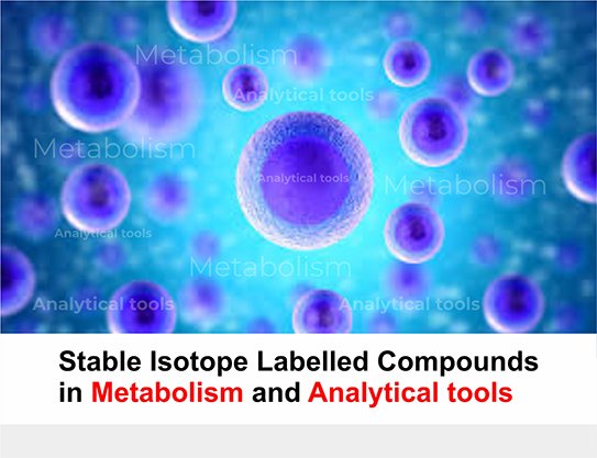 Stable Isotope Labelled Compounds in Metabolism and Analytical tools