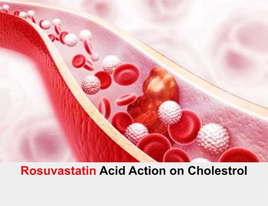 Rosuvastatin Acid Action on Cholesterol