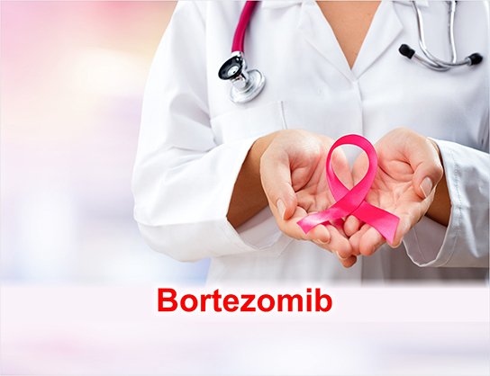 Bortezomib was originally made in 1995 at Myogenics