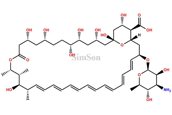 Amphotericin B