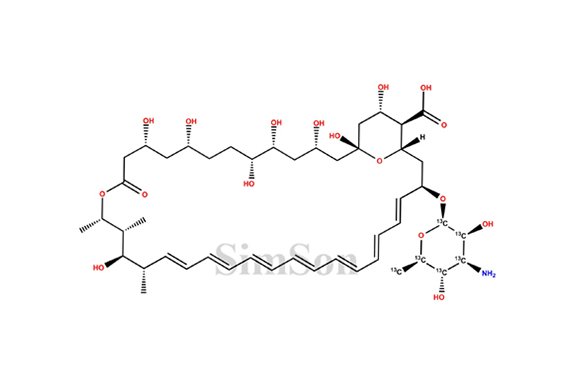 Amphotericin-B-13C6