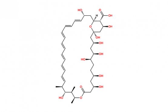 Amphoteronolide B